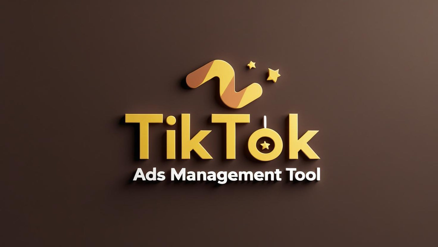 TIKTOK ADS MANAGEMENT
